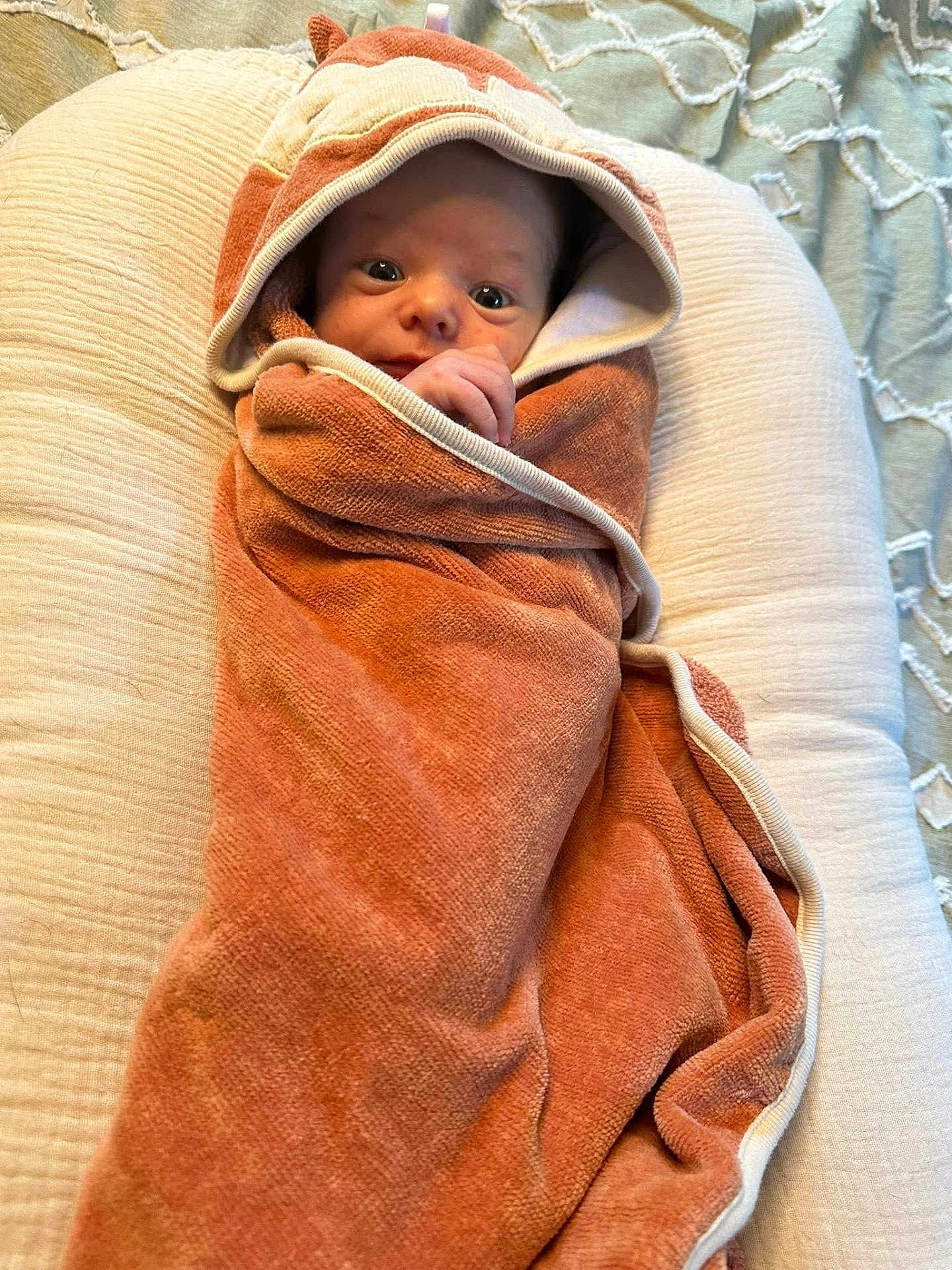 Sutton joined the competition — help win amazing prizes! baby, infant, towel, hood, wrapped, cushion, blanket, soft, cozy, face, eyes, hand, newborn, cute, portrait, indoors, resting, child, person, warm