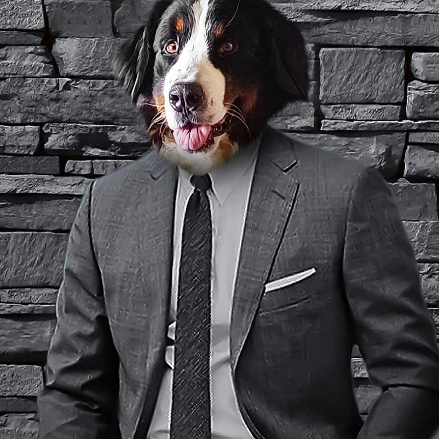 Rio a rejoint le concours — aidez-le/la à gagner de superbes lots ! accessories, adult, architecture, blazer, brick, building, clothing, coat, face, formalwear, head, jacket, male, man, person, photography, portrait, suit, tie, wall