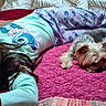 child, dog, bed, pajamas, blanket, indoor, relaxing, lying_down, small_dog, bedroom, comfort, resting, home, pet, sleepwear, cozy, cute, animal, human, casual