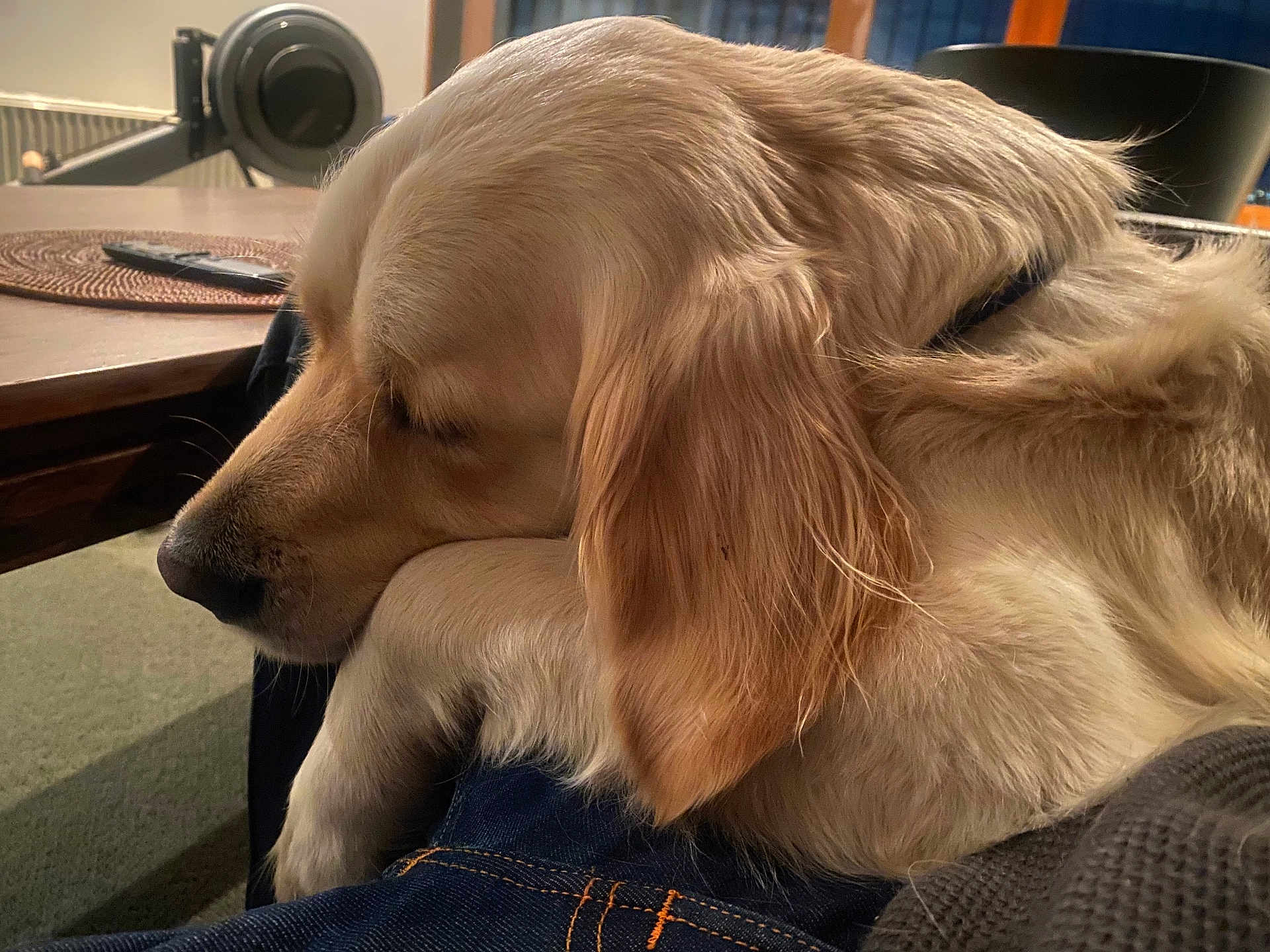 Rupert