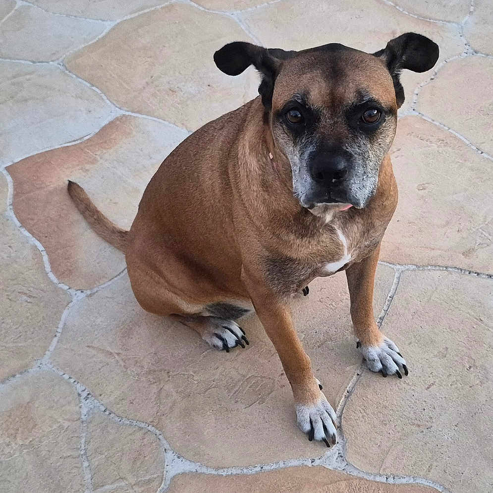 Sabrina