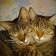 Lilou et fifille participe au concours pour gagner de l'argent avec cette photo :