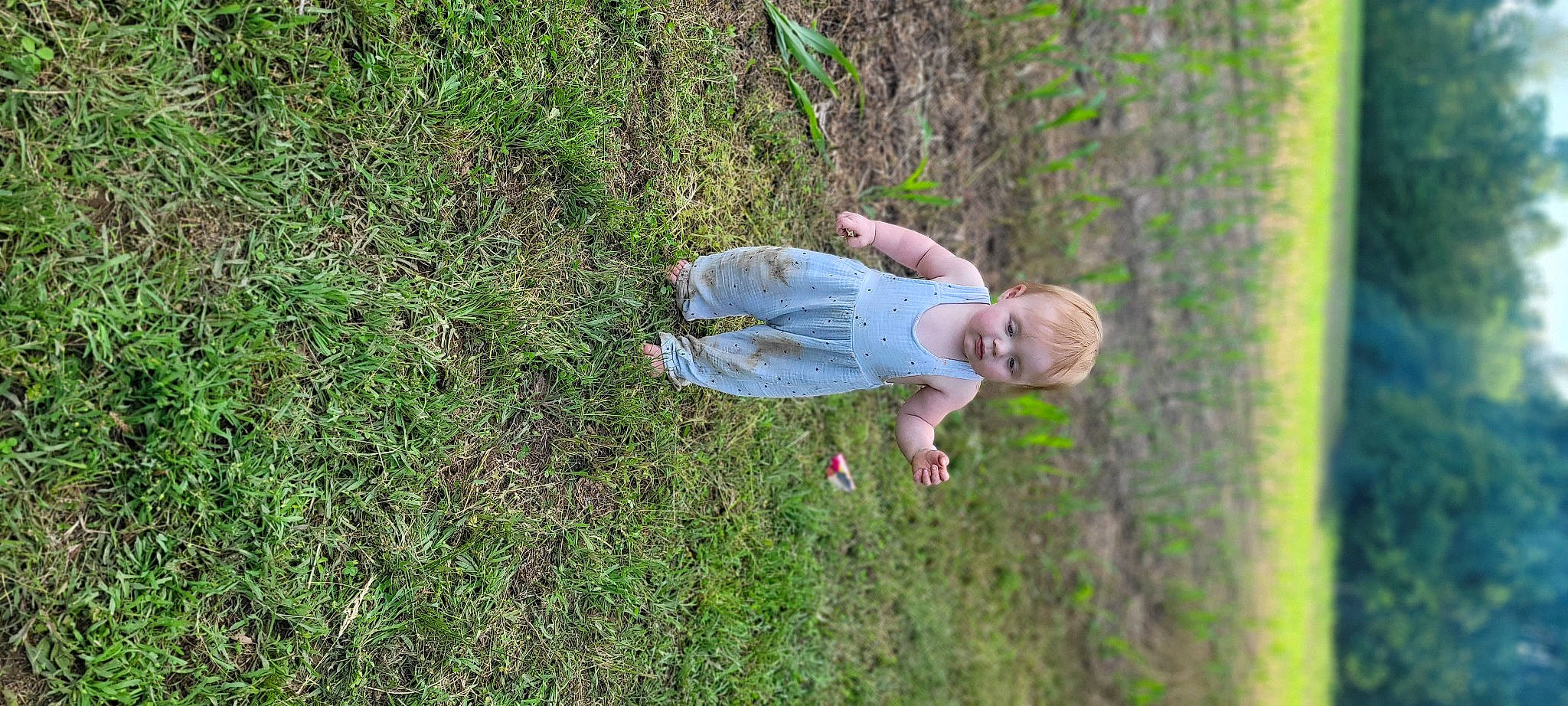 Ivy Rayne is registered to the contest to win money with this photo: baby, baby_toddler_clothing, child, fun, grass, grass_family, grassland, groundcover, happy, lawn, leisure, meadow, people_in_nature, person, plant, prairie, recreation, soil, toddler, tree