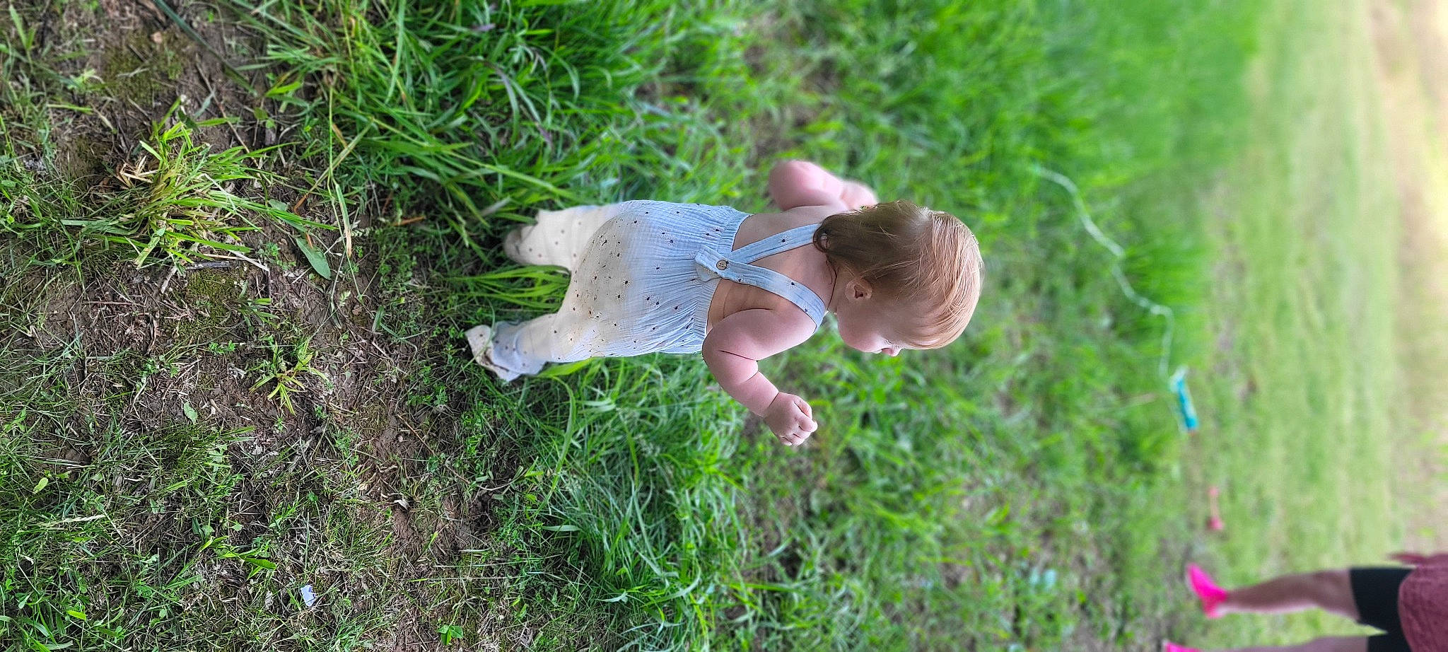 Ivy Rayne joined the competition — help win amazing prizes! baby, child, dress, fun, grass, grassland, groundcover, happy, landscape, lawn, meadow, pasture, people_in_nature, person, plant, prairie, shrub, soil, toddler, tree
