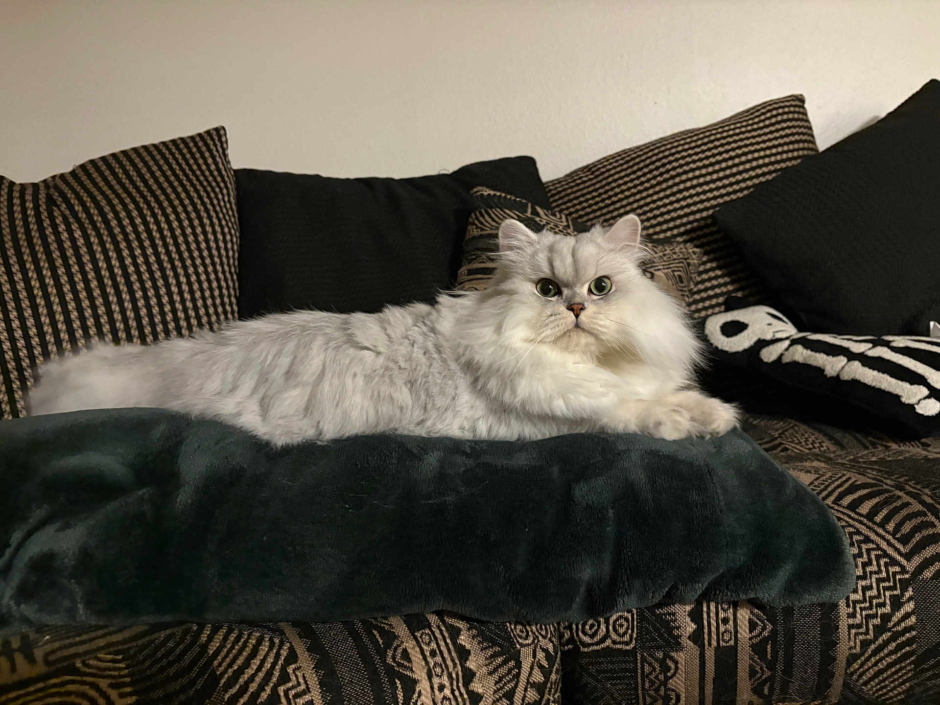 Loki