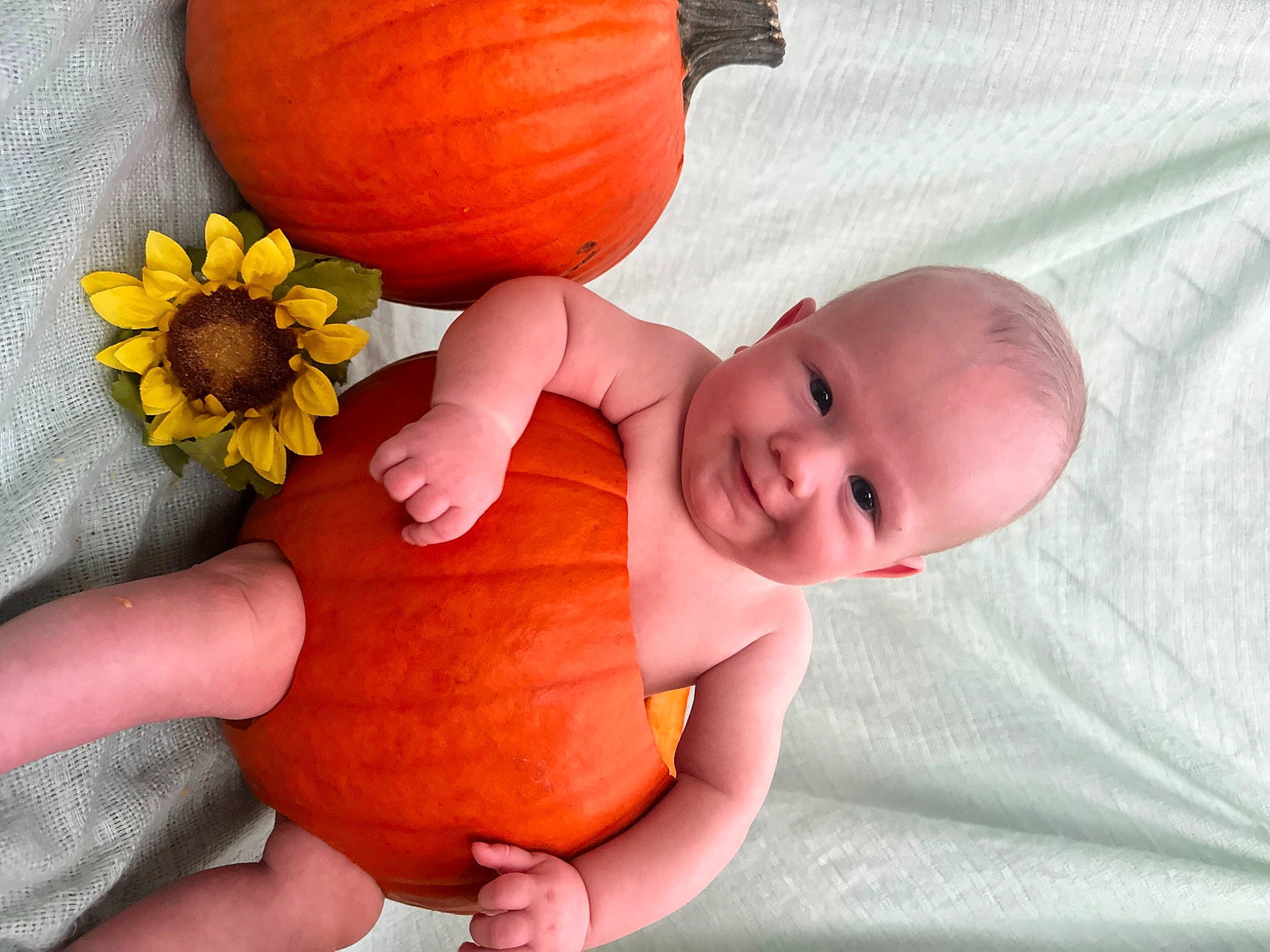 Declan joined the competition — help win amazing prizes! baby, baby_toddler_clothing, calabaza, cucurbita, eye, face, finger, fruit, gourd, hand, head, human_body, joy, natural_foods, orange, person, plant, pumpkin, squash, toddler
