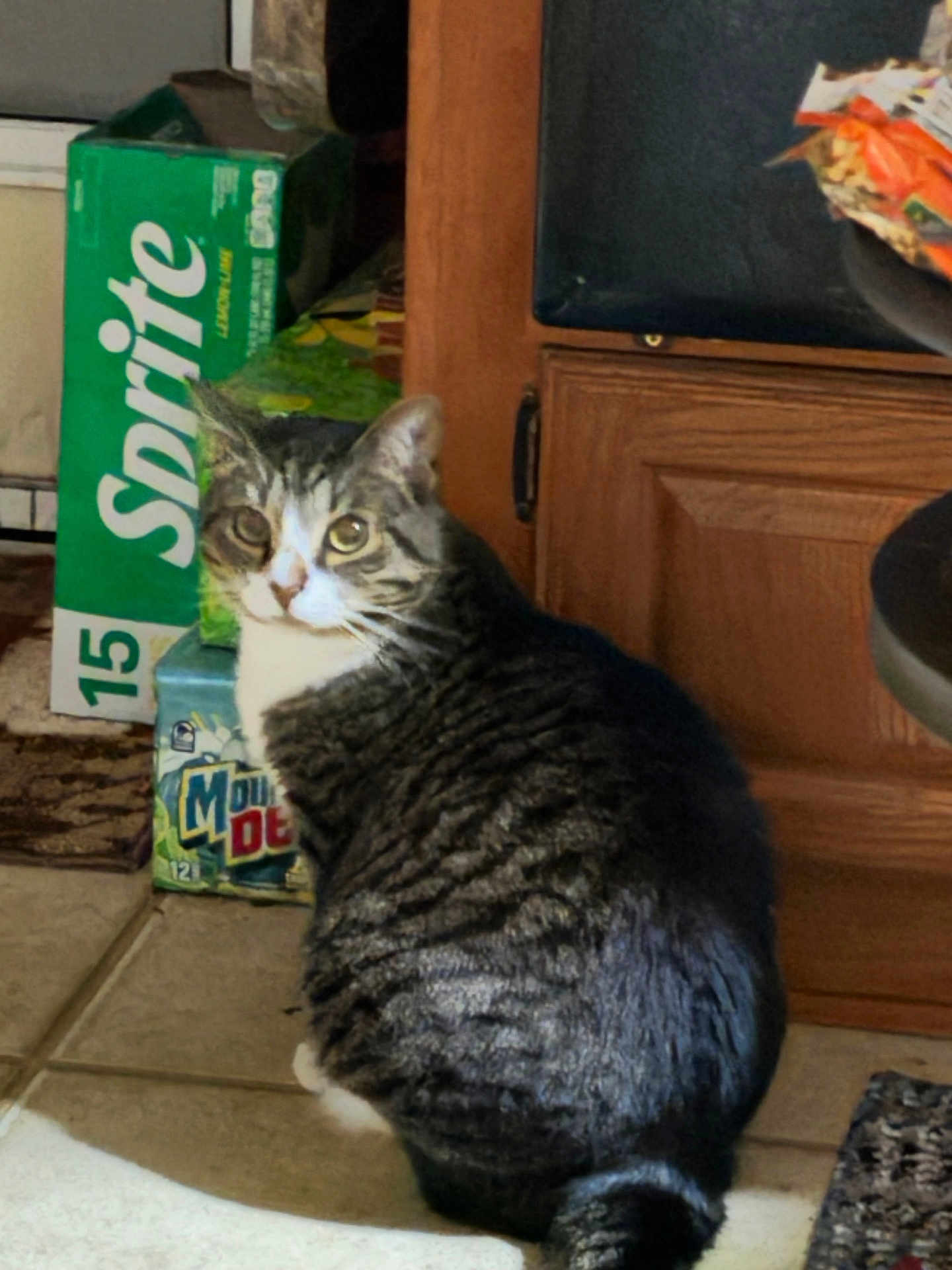 Nala