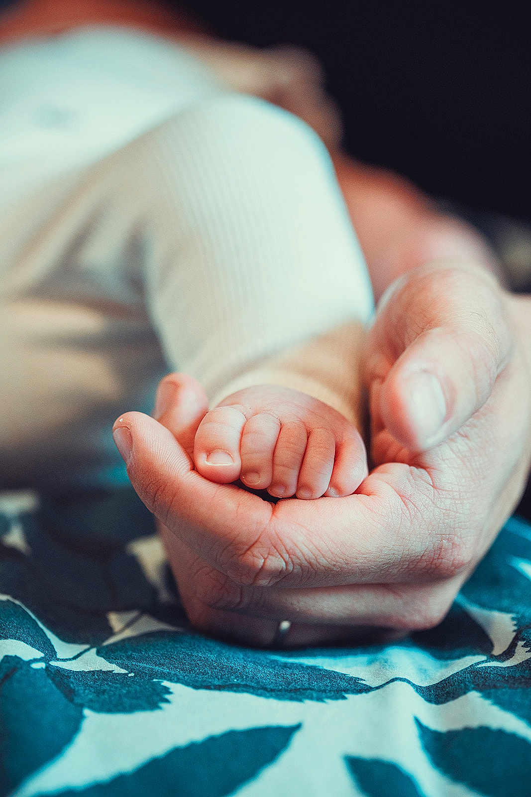 Giu a rejoint le concours — aidez-le/la à gagner de superbes lots ! baby, foot, hand, infant, skin, close_up, patterned_fabric, adult_hand, tender, holding, small, cute, texture, blue, white, soft, protection, love, family, care
