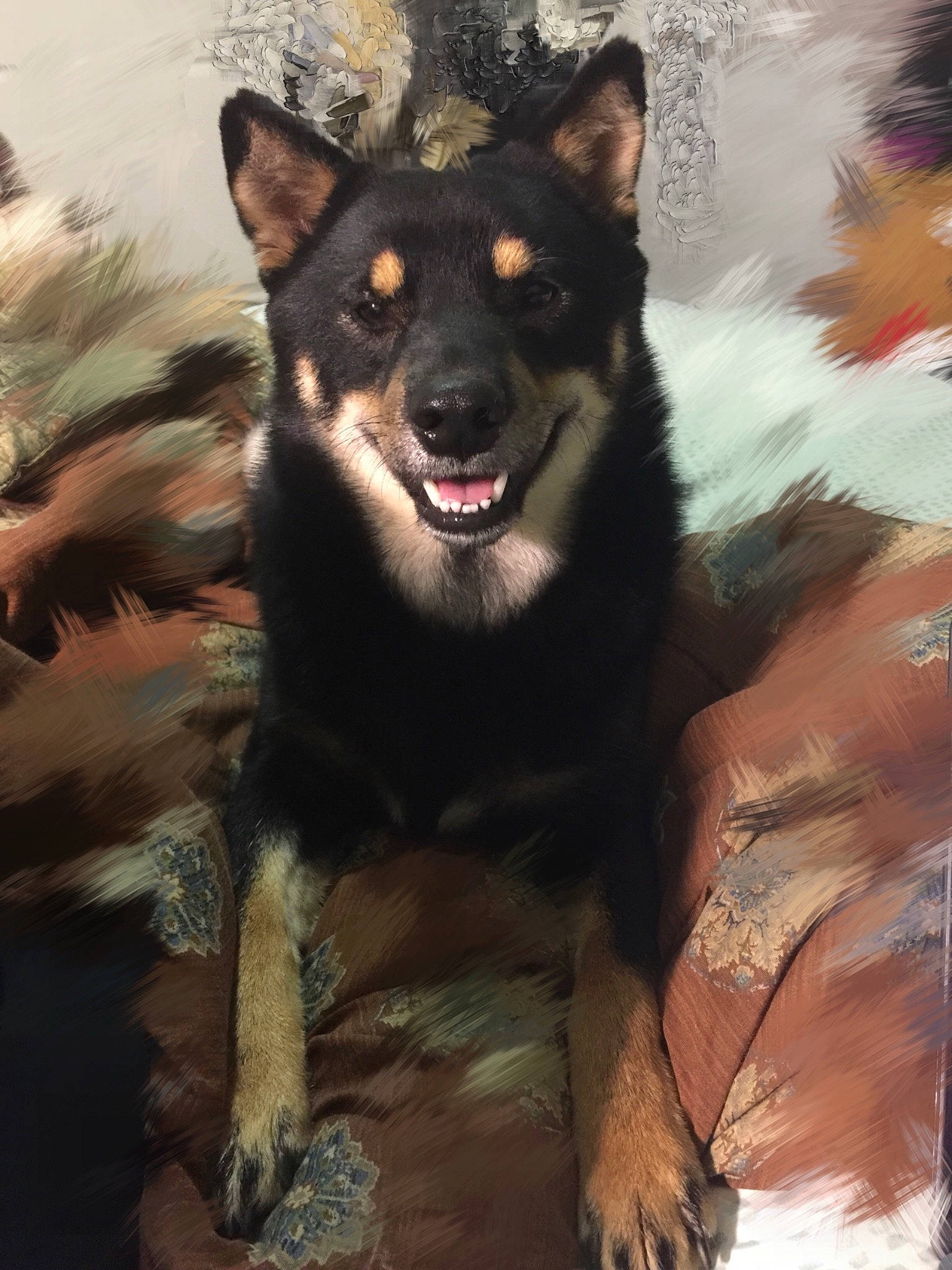 Inko is registered to the contest to win money with this photo: art, canidae, canis, carnivore, companion_dog, dog, dog_breed, fang, fur, guard_dog, happy, herding_dog, jaw, painting, plant, snout, sporting_group, terrestrial_animal, whiskers, working_animal