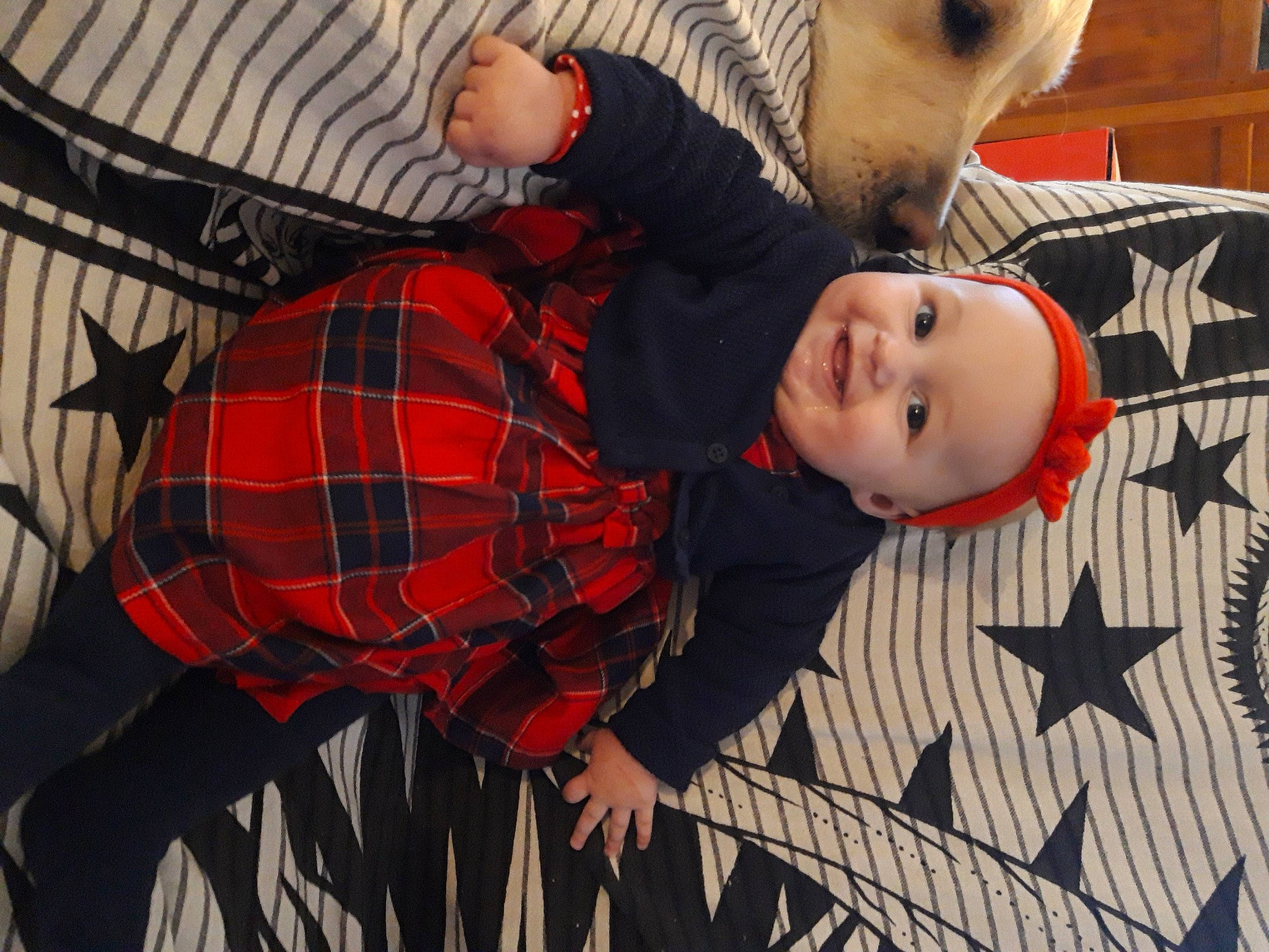 Lou a rejoint le concours — aidez-le/la à gagner de superbes lots ! baby, baby_toddler_clothing, beauty, child, comfort, eye, face, fashion, fun, head, human_body, joy, linens, pattern, people, person, plaid, room, tartan, textile