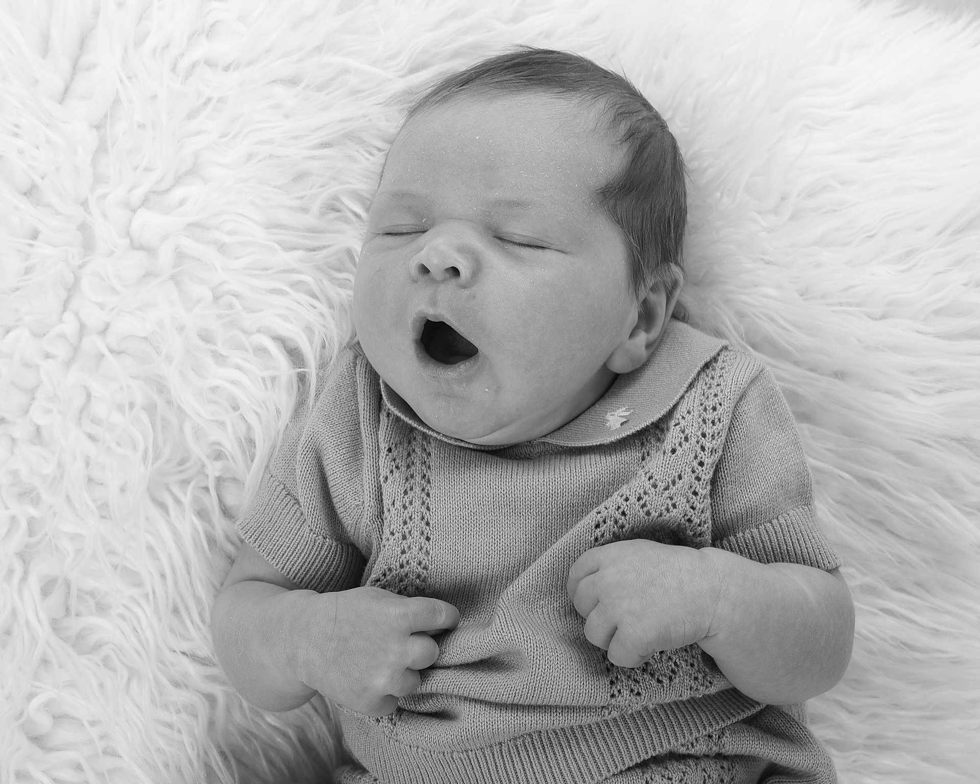 Freddie