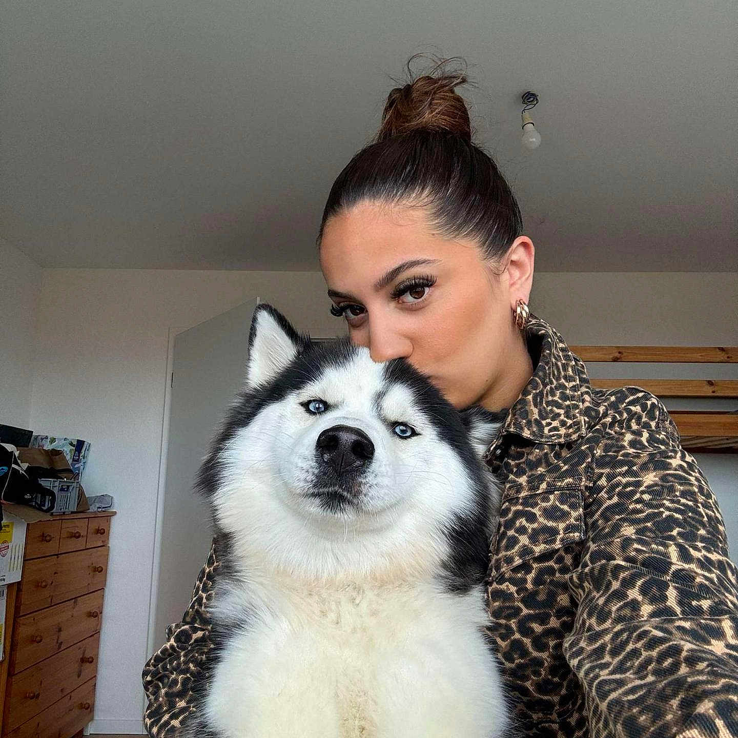 Milou participe au concours pour gagner de l'argent avec cette photo : adult, animal, blanket, canine, dog, eskimodog, face, female, furniture, hair, head, husky, person, pet, photobombing, photography, portrait, puppy, sitting, woman