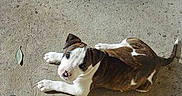 Jupiter participe au concours pour gagner de l'argent avec cette photo :