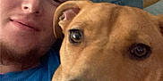 Luna joined the competition — help win amazing prizes! person, dog, face, portrait, indoor, couch, blue_shirt, red_hair, brown_dog, snuggle, close_up, relaxed, pet, companion, animal, friendship, casual, home, cozy, resting