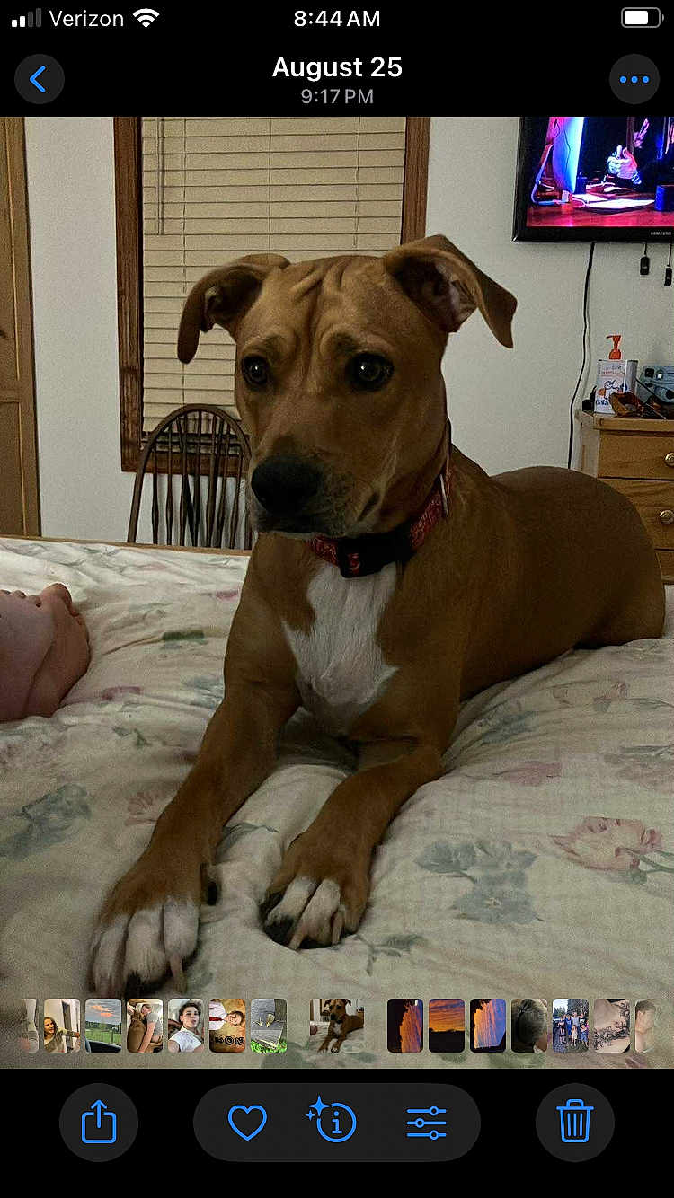 Luna