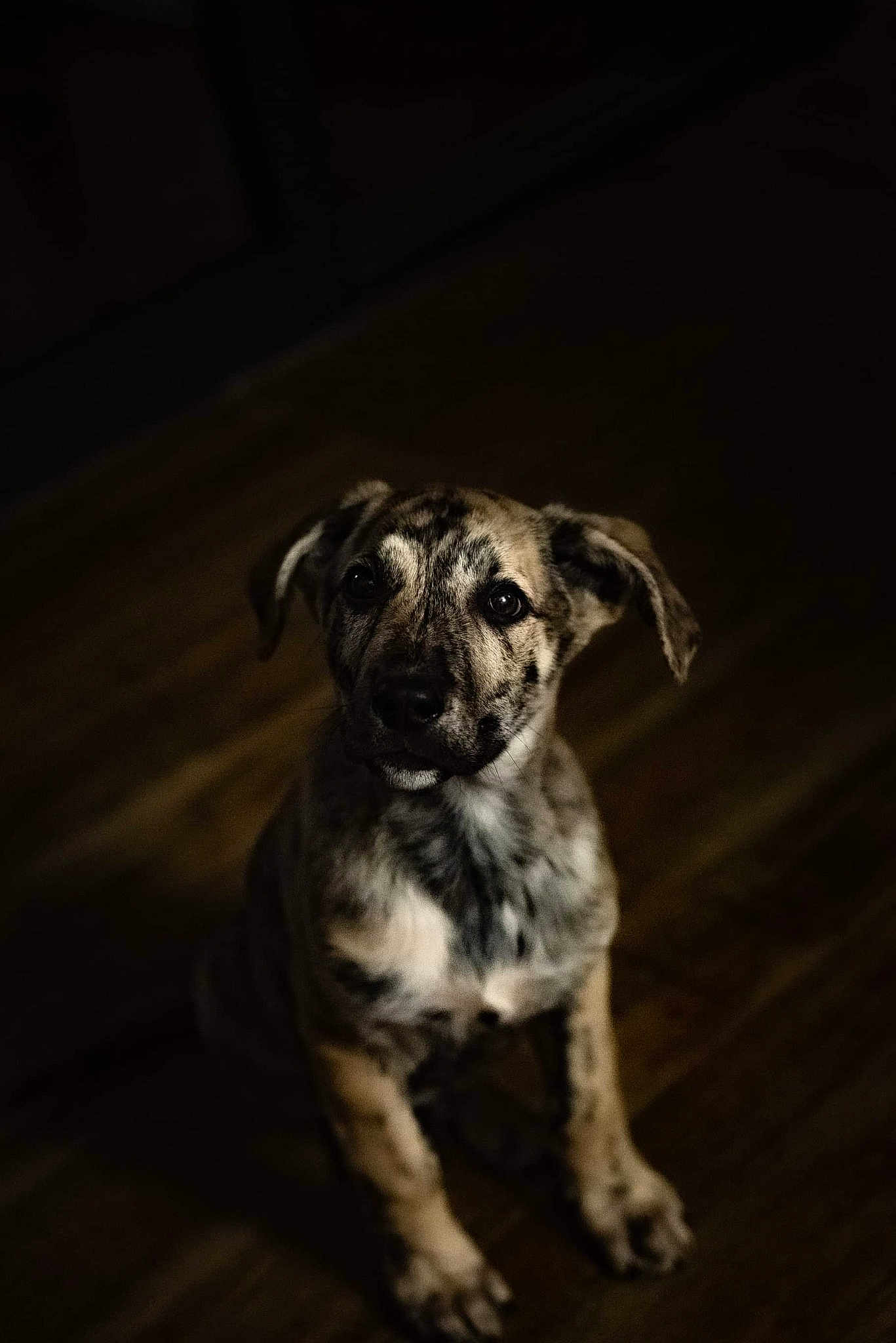 Sam