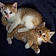 Umbus And Issa