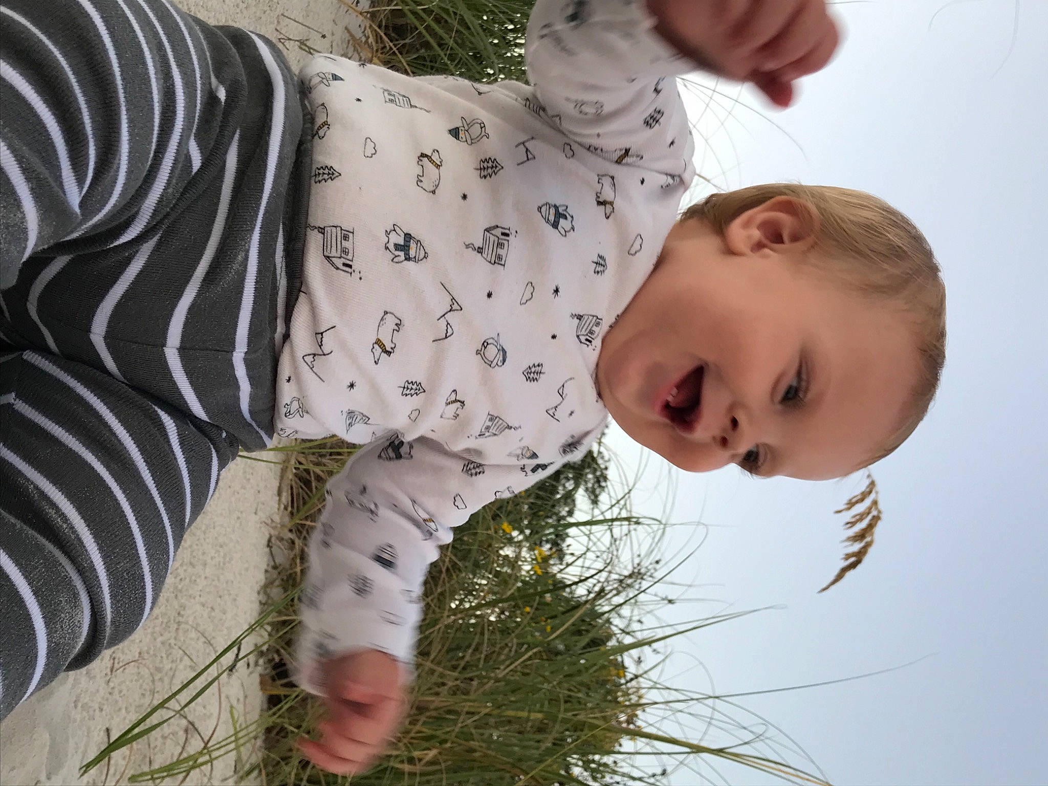 Apollo joined the competition — help win amazing prizes! arm, baby, child, ear, grass, head, nose, organism, person, plant, play, toddler, tree