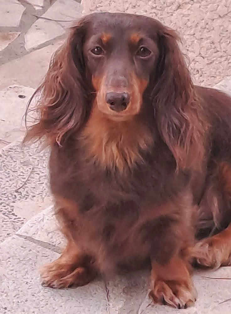 Tina
