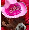 adorable, animal, closeup, cowboy_hat, cute, dog, domestic_animal, expression, face, fur, headwear, indoor, laying_down, pet, pink_hat, portrait, red_couch, resting, sequin, tiara