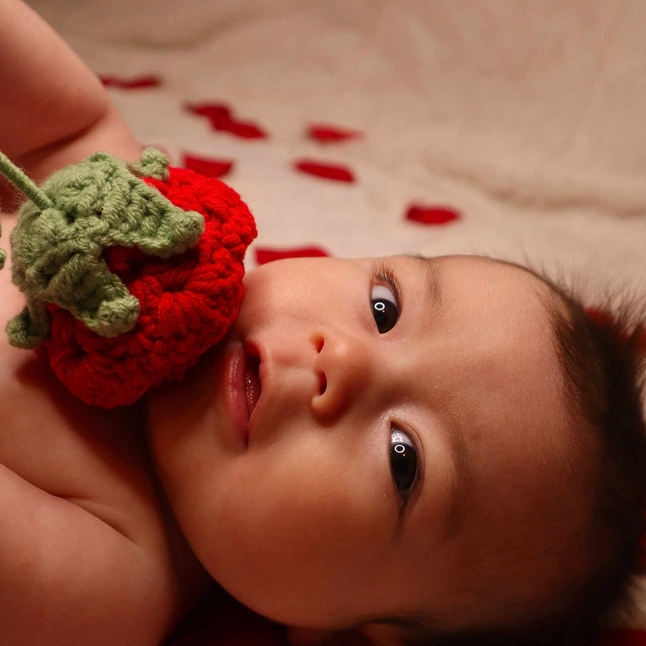 Asher joined the competition — help win amazing prizes! accessories, baby, bodypart, bonnet, cap, clothing, face, finger, flower, glove, hand, hat, head, newborn, pattern, person, photography, plant, portrait, wrist