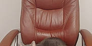 Smalls joined the competition — help win amazing prizes! animal, cables, cat, comfortable, curled_up, ears, feline, floor, fur, gray_tabby, home, indoor, leather_chair, looking, office_chair, pet, resting, wall, whiskers, yellow_eyes