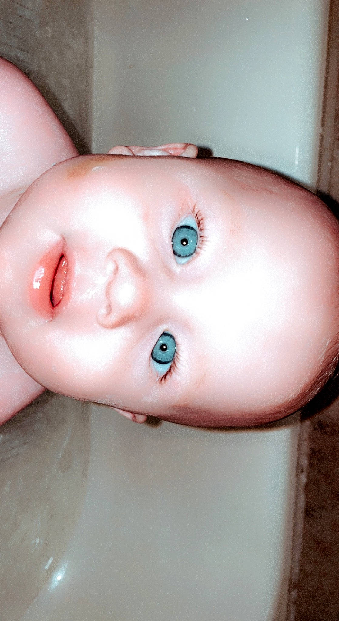 Cayman joined the competition — help win amazing prizes! cheek, chest, ear, eye, eyebrow, eyelash, forehead, hair, head, human_body, iris, jaw, lip, material_property, mouth, neck, nose, person, shoulder, skin