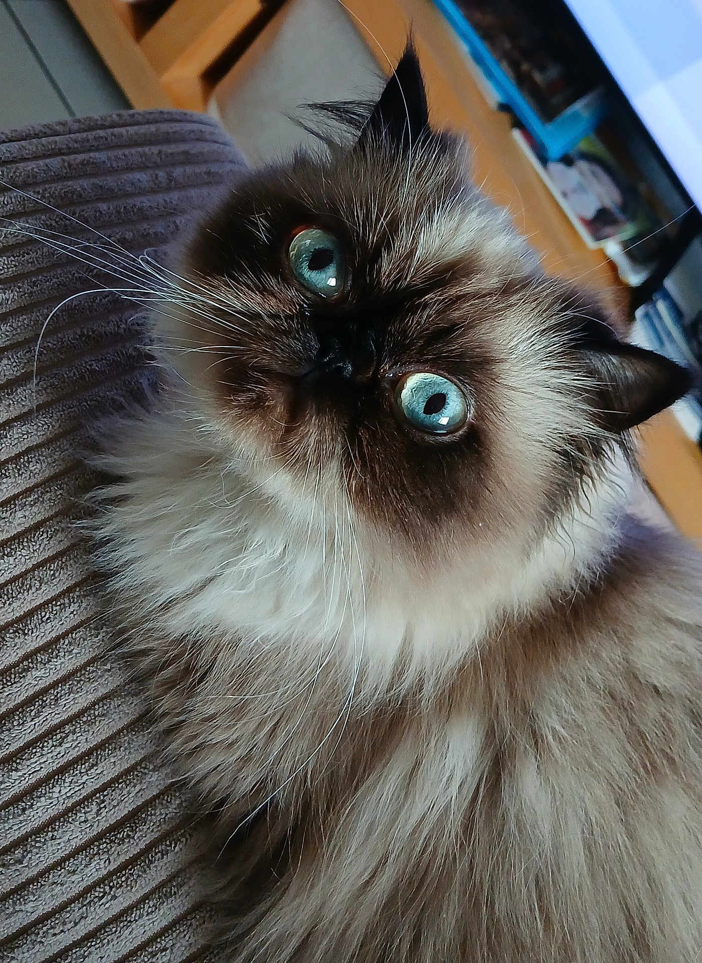 Una