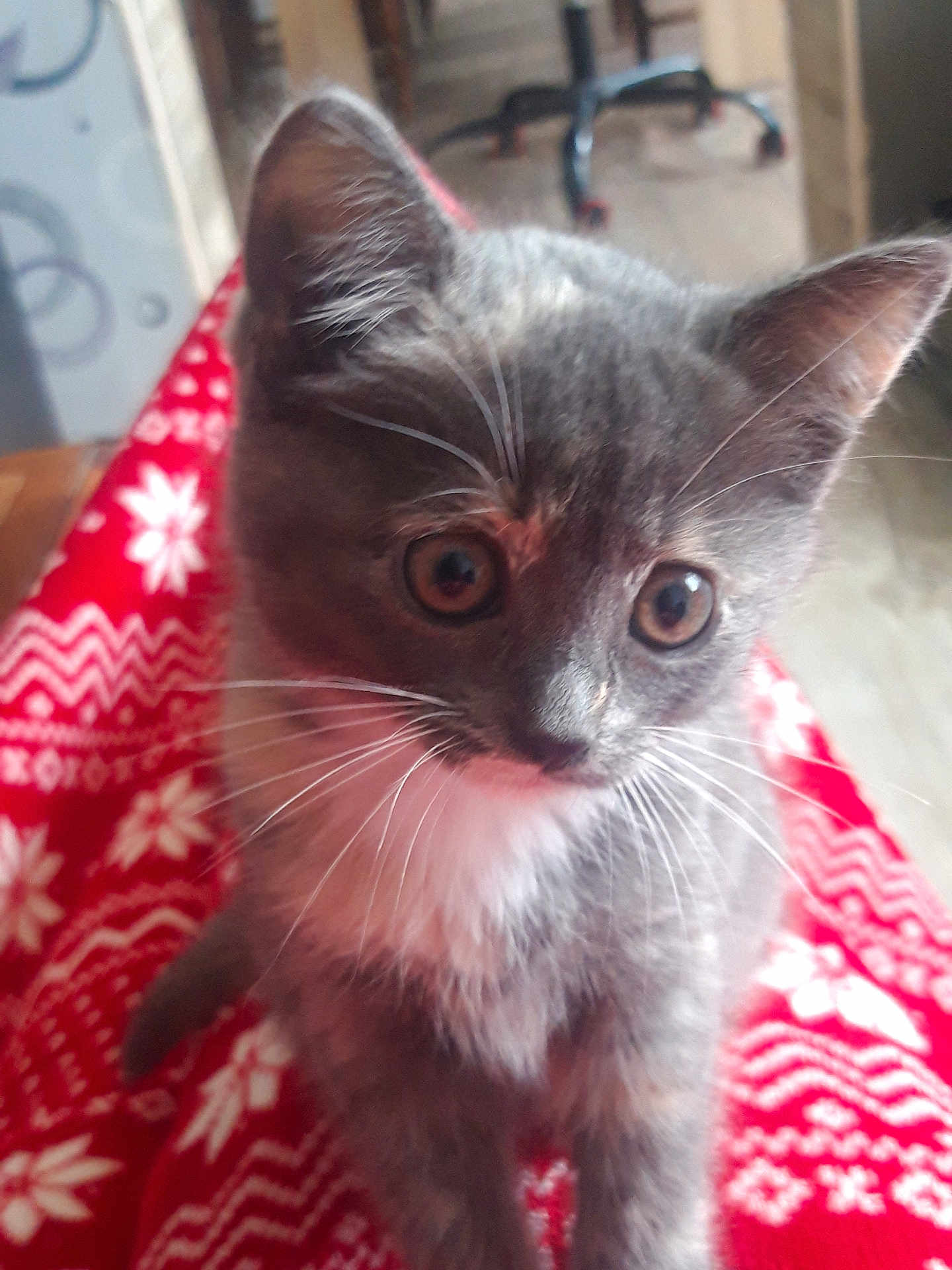 Abby