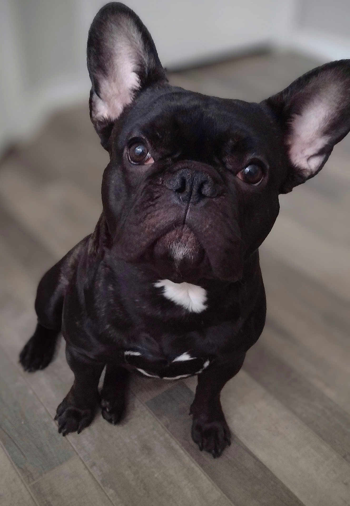 Charlie
