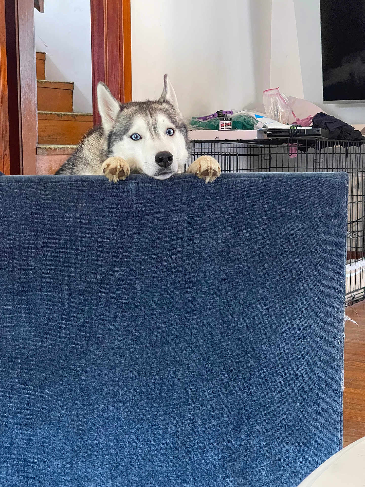 Denali