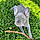 Poppy