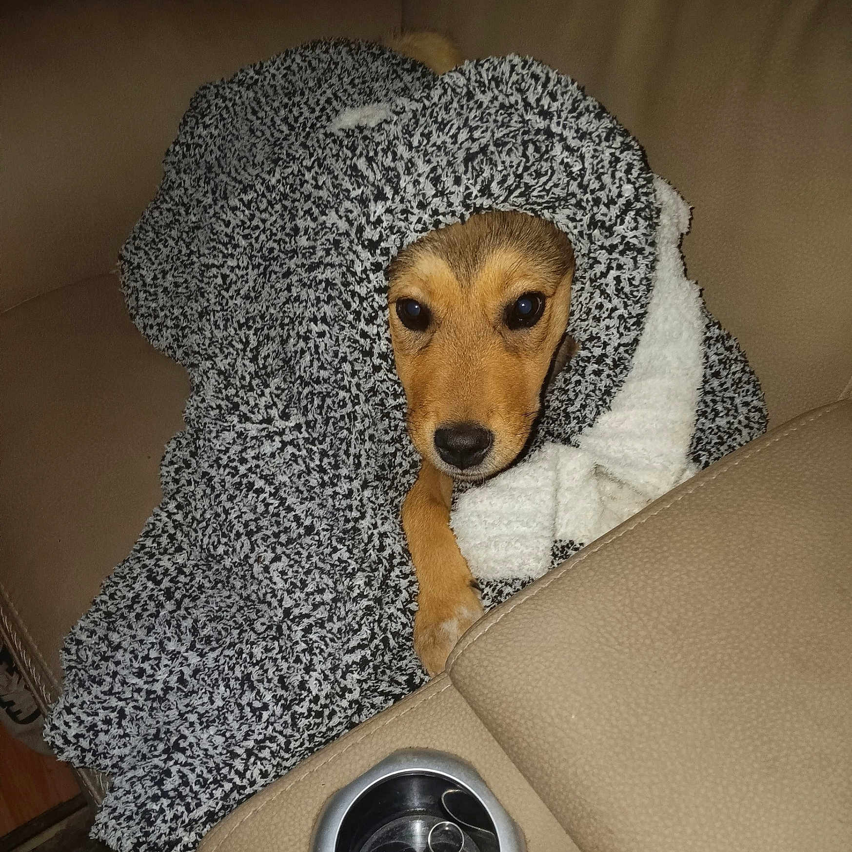 Xena