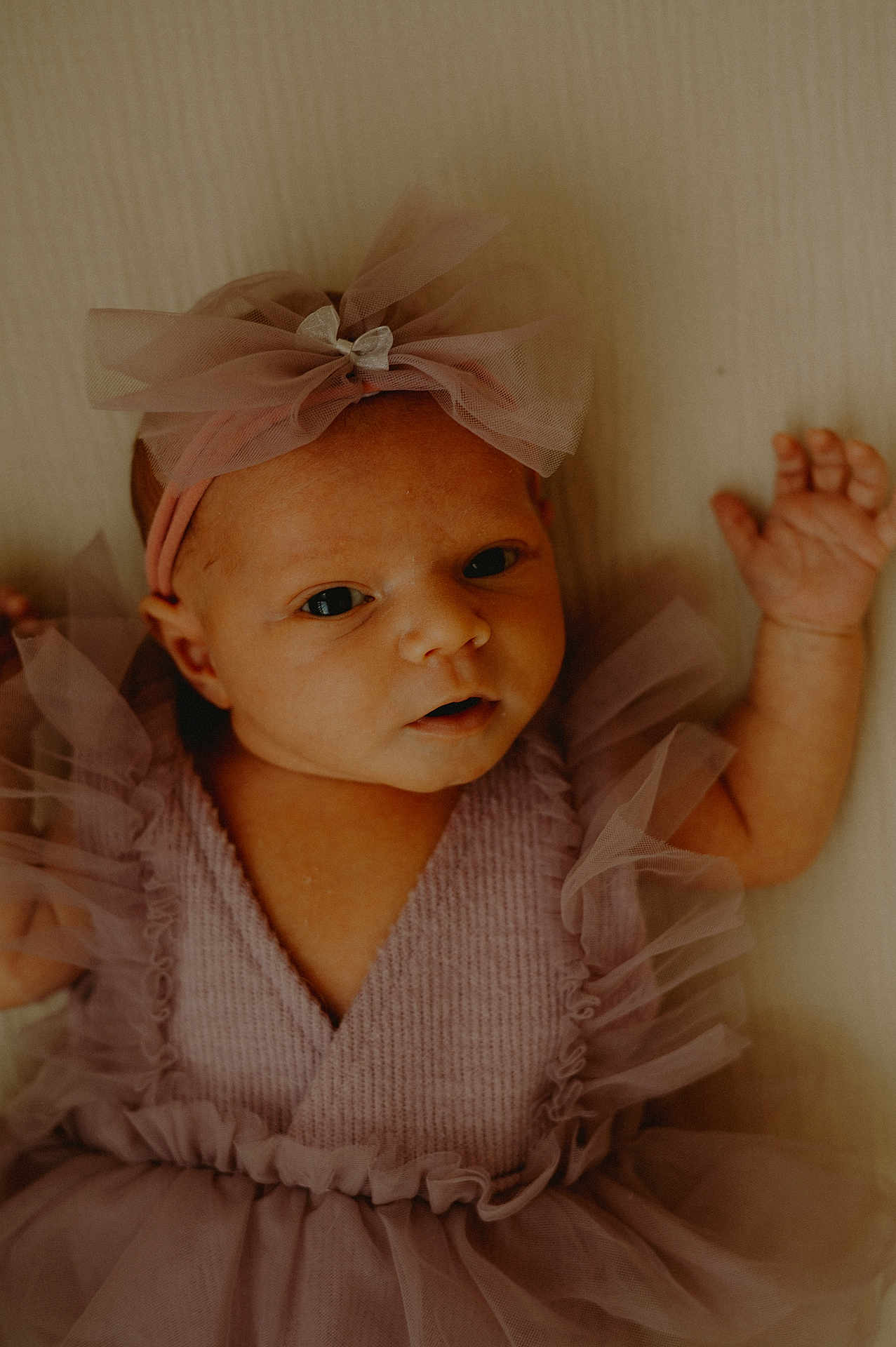 Ella joined the competition — help win amazing prizes! baby, infant, child, face, headband, bow, dress, purple, tulle, clothing, cute, portrait, newborn, skin, hands, eyes, lying_down, soft_light, indoors, expression