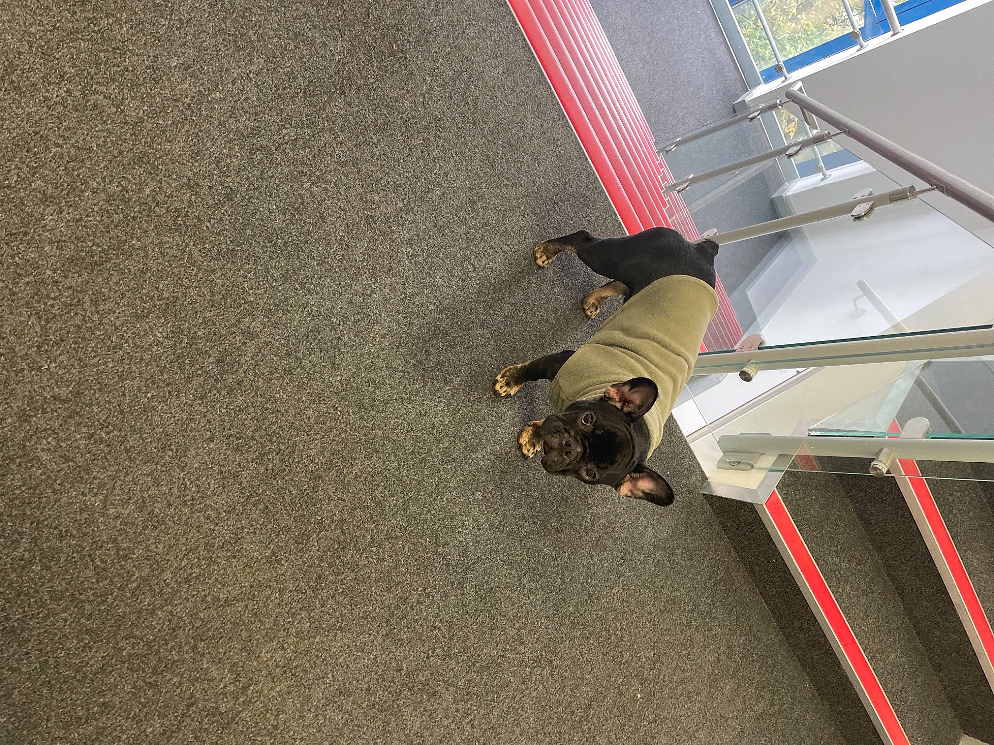 Boycie is registered to the contest to win money with this photo: adventure, asphalt, automotive_tire, ceiling, circle, concrete, daylighting, floor, flooring, fun, games, grey, leisure, metal, pattern, recreation, road_surface, shadow, soil, wood