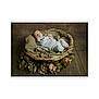 baby, sleeping, basket, knitwear, cozy, blanket, flowers, wooden_floor, portrait, infant, soft_lighting, peaceful, indoor, decorative, child, newborn, resting, cushion, natural_colors, cute