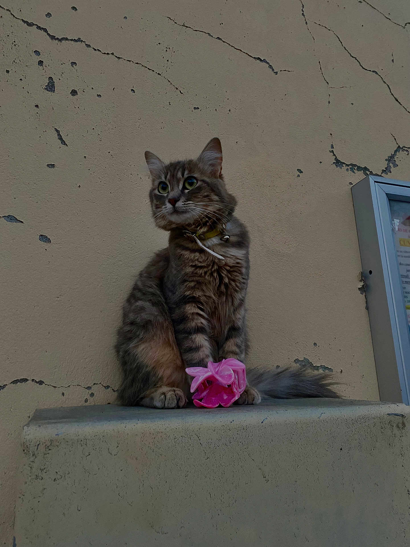 Ruby