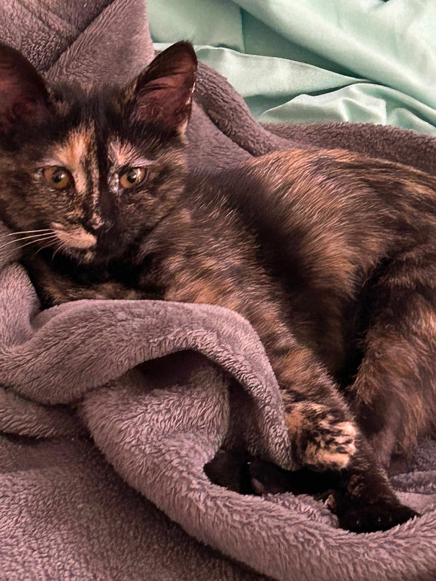 Lola