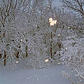 Kathy R. R.
