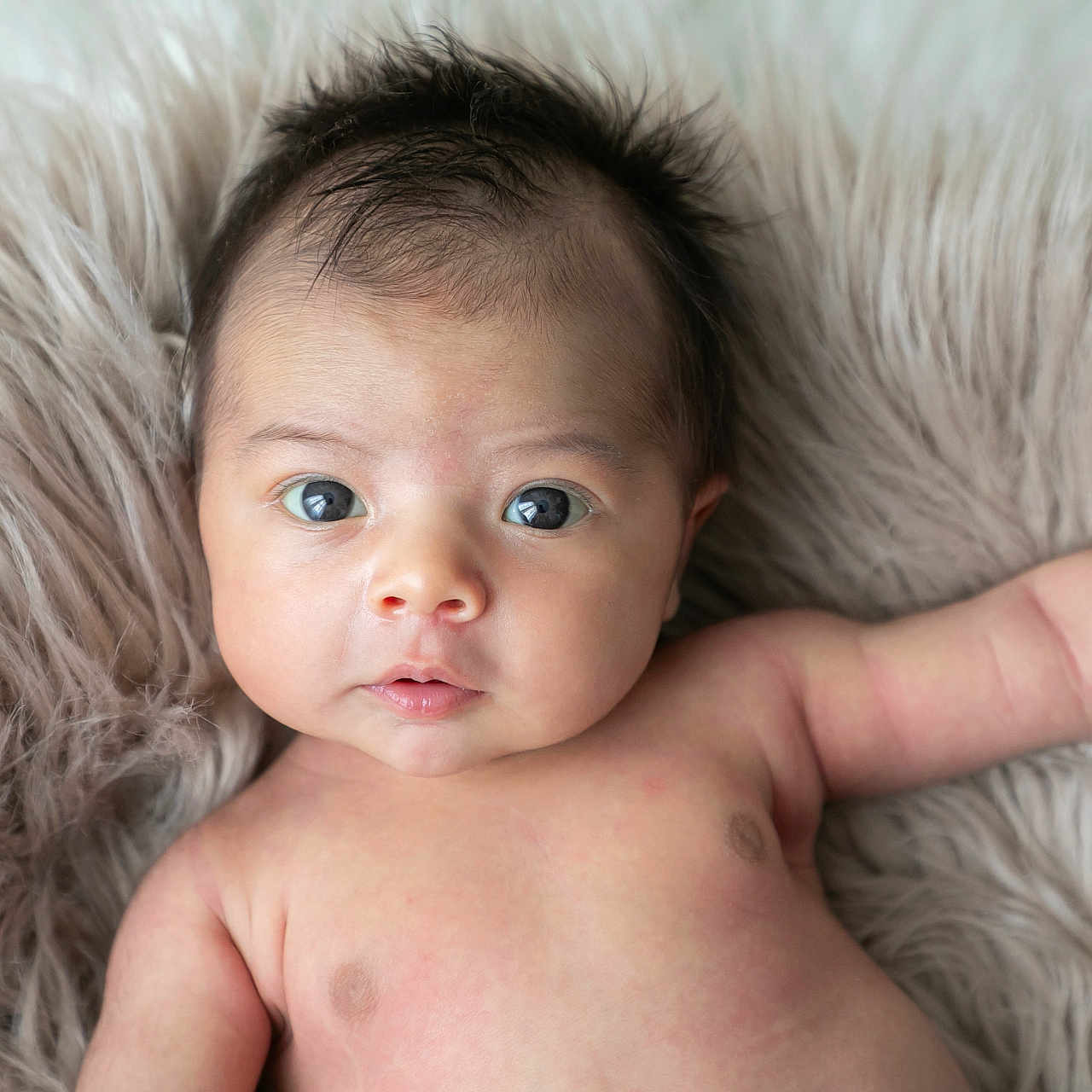 Gabin a rejoint le concours — aidez-le/la à gagner de superbes lots ! arm, baby, blanket, chest, child, closeup, cute, expression, eyes, face, fur, hair, indoors, infant, lying_down, newborn, person, portrait, skin, soft
