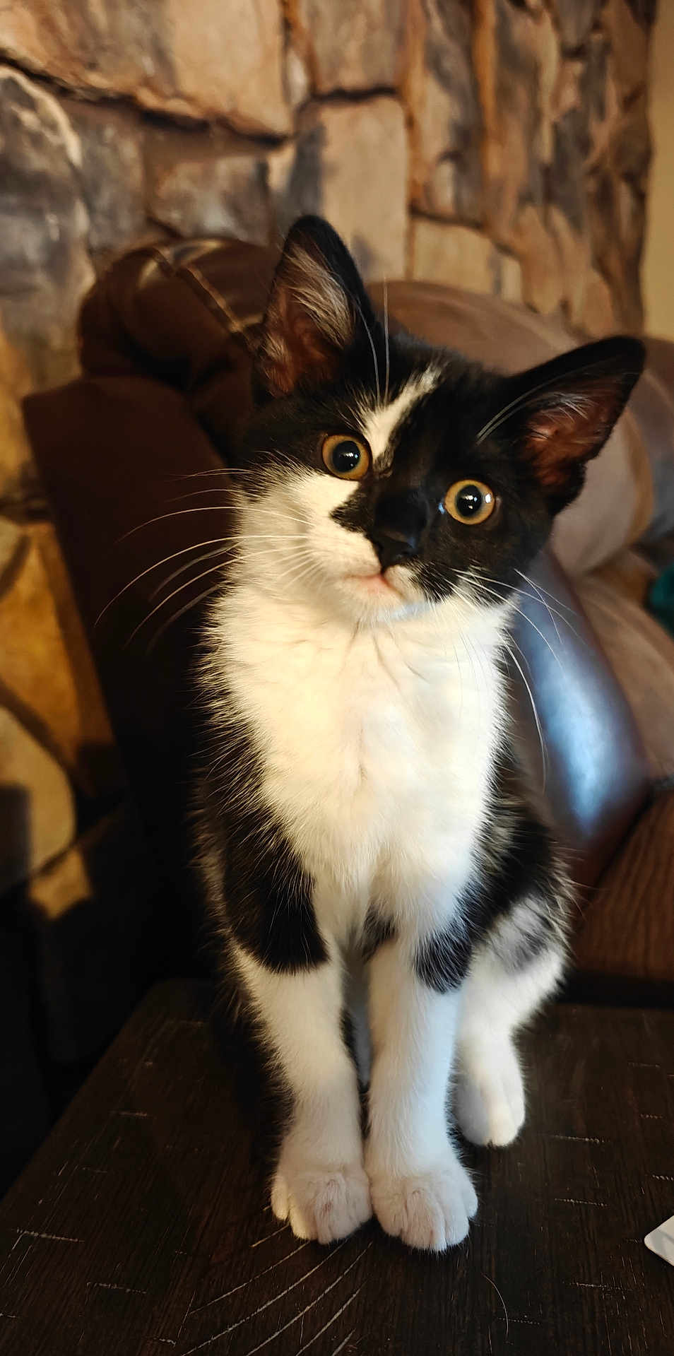 Skye