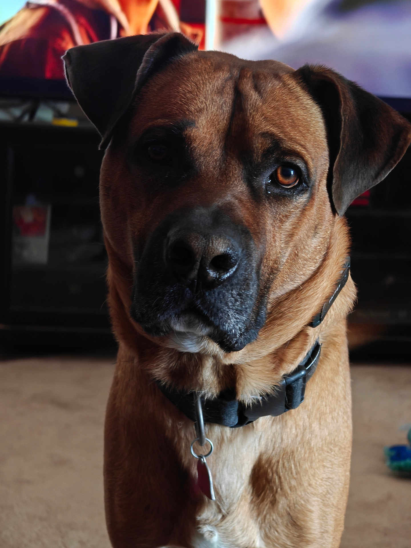 Duke