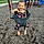 Londyn