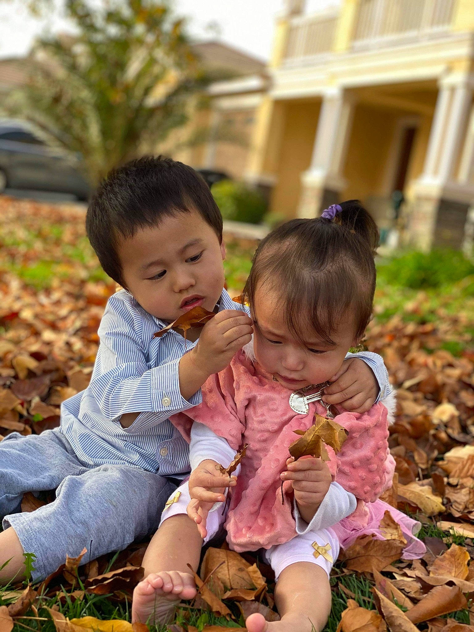 Lucy joined the competition — help win amazing prizes! baby, child, daughter, family, grass, happy, leaf, people, person, plant, play, sibling, skin, smile, toddler