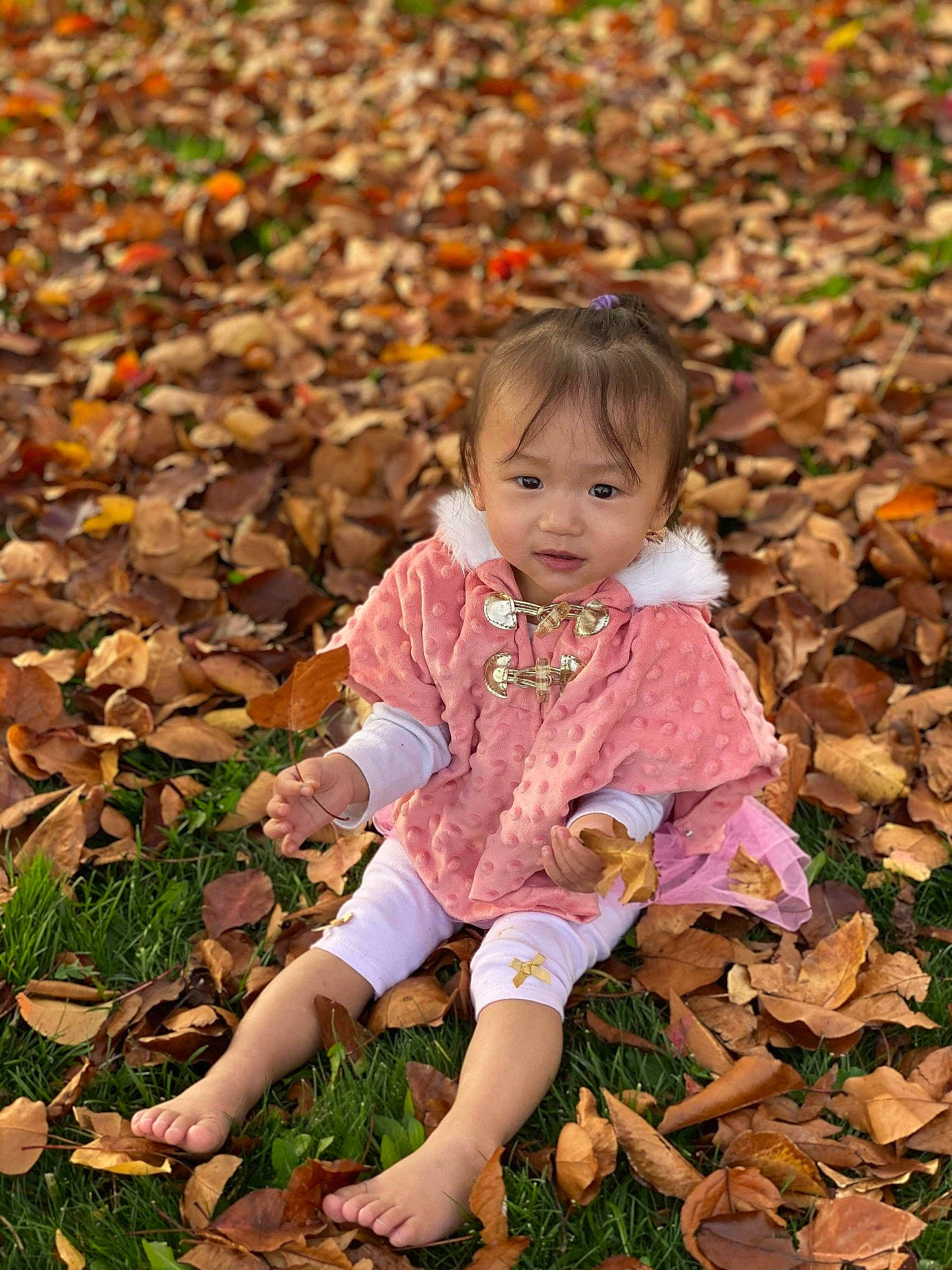 Lucy is registered to the contest to win money with this photo: autumn, baby, child, deciduous, grass, leaf, people_in_nature, person, plant, play, sitting, toddler
