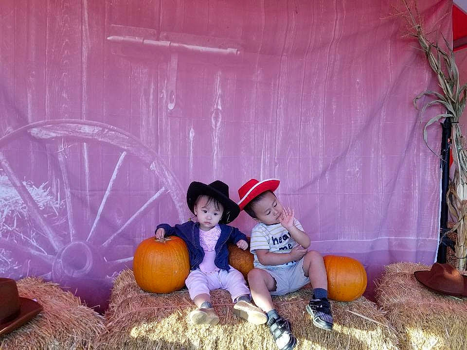 Lucy is registered to the contest to win money with this photo: calabaza, child, cucurbita, fruit, fun, person, plant, pumpkin, sitting, smile, toddler, trick_or_treat, vegetable, winter_squash