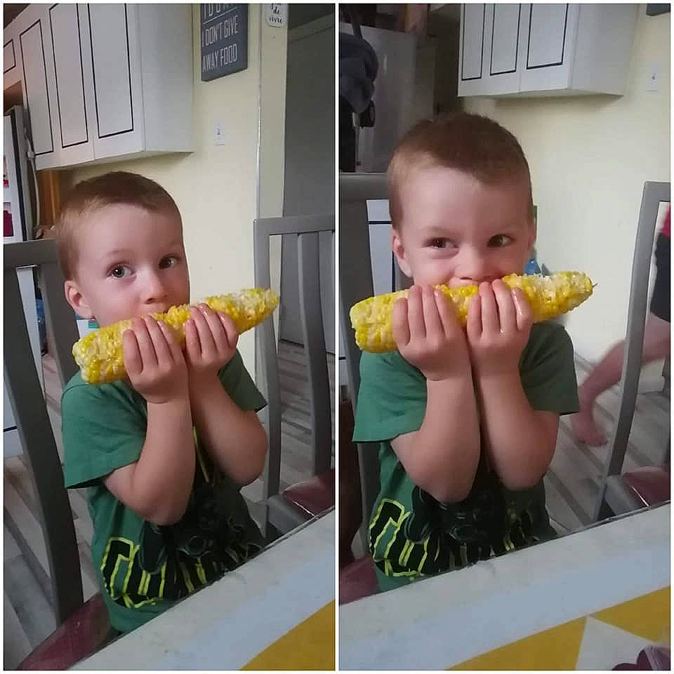 Dylan a rejoint le concours — aidez-le/la à gagner de superbes lots ! biting, child, corn_on_the_cob, cuisine, dish, finger, food, food_craving, gesture, happy, ingredient, mouth, person, photograph, product, recipe, sharing, sweet_corn, tableware, toddler
