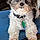 Bailey