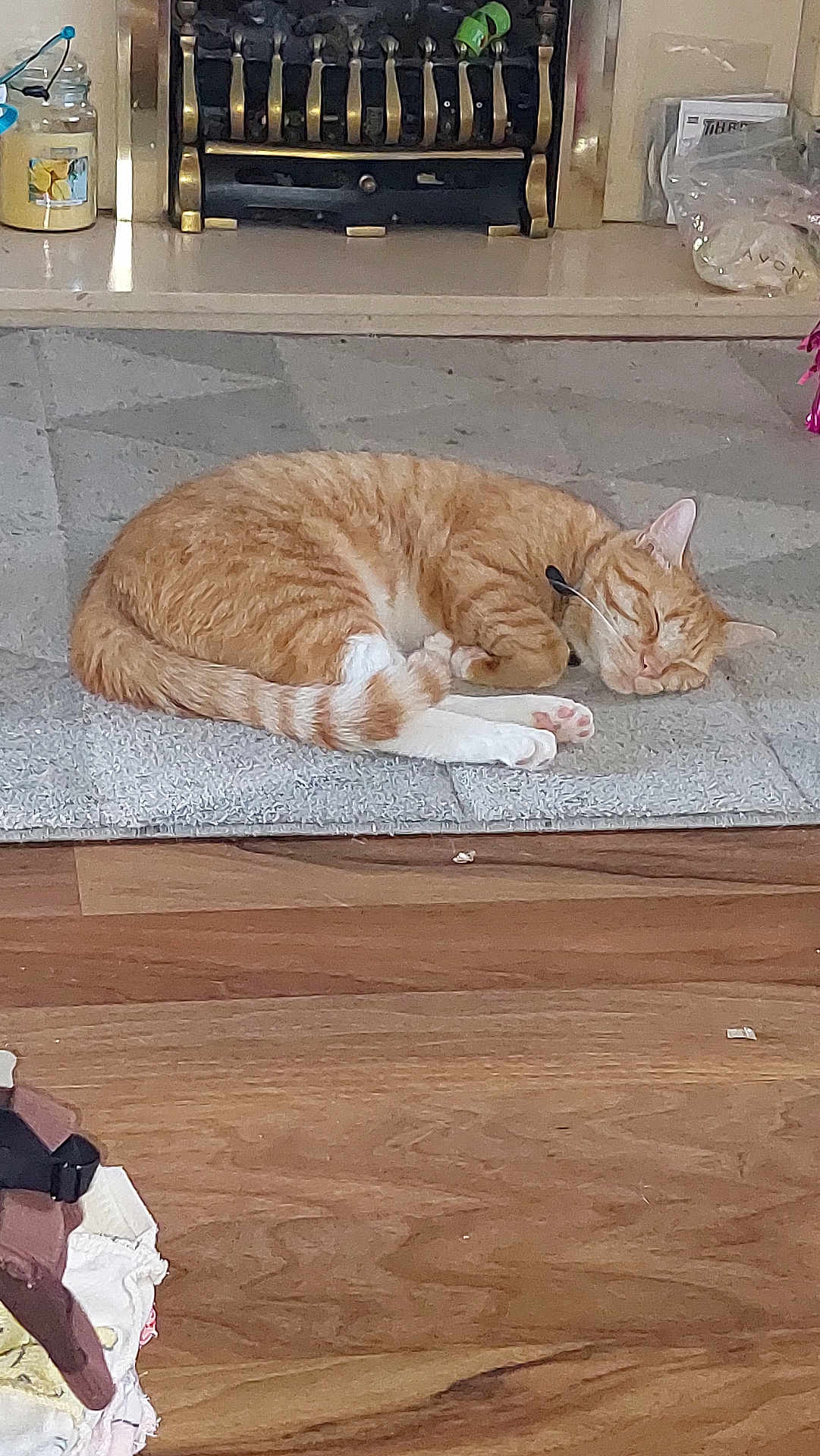 Toby