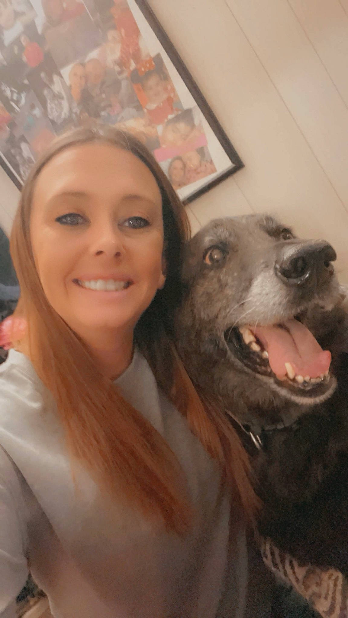 Jaeger joined the competition — help win amazing prizes! canidae, carnivore, companion_dog, dog, dog_breed, ear, event, eyelash, fang, fun, fur, happy, iris, jaw, picture_frame, selfie, smile, snout, sporting_group, working_animal
